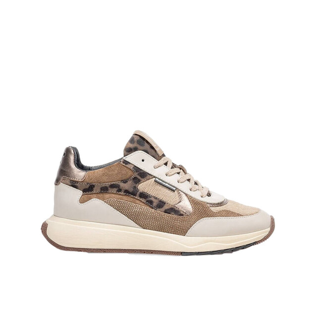 Floris van Bommel Floris van Bommel Sneakers SFW-10159-34-01 Sneakers Bruin Floris van Bommel Sneakers SFW-10159-34-01 large