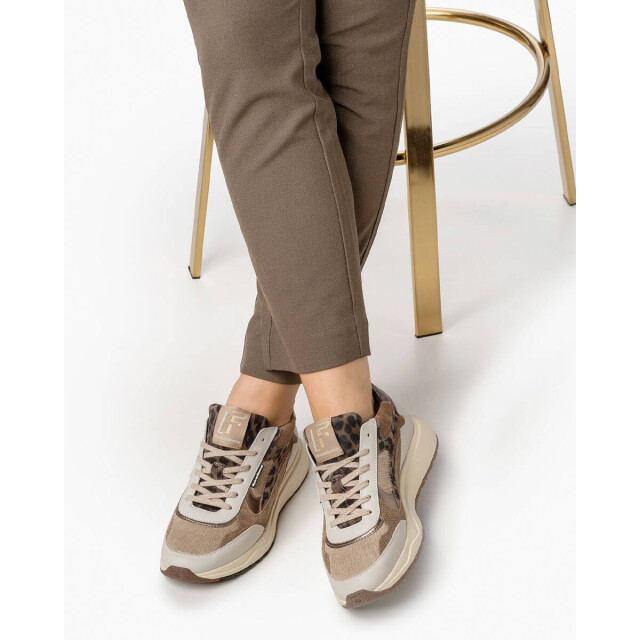 Floris van Bommel Floris van Bommel Sneakers SFW-10159-34-01 Sneakers Bruin Floris van Bommel Sneakers SFW-10159-34-01 large