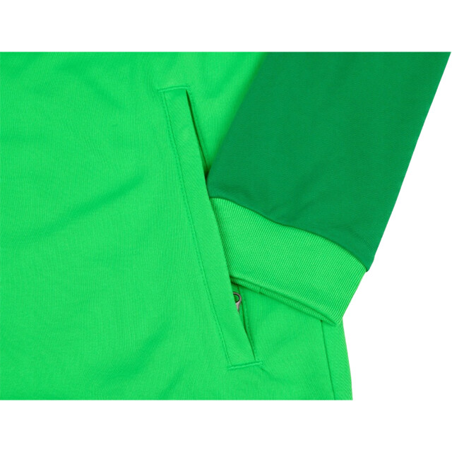 Nike Heren academy pro dri-fit track jacket UTPP6413_green large