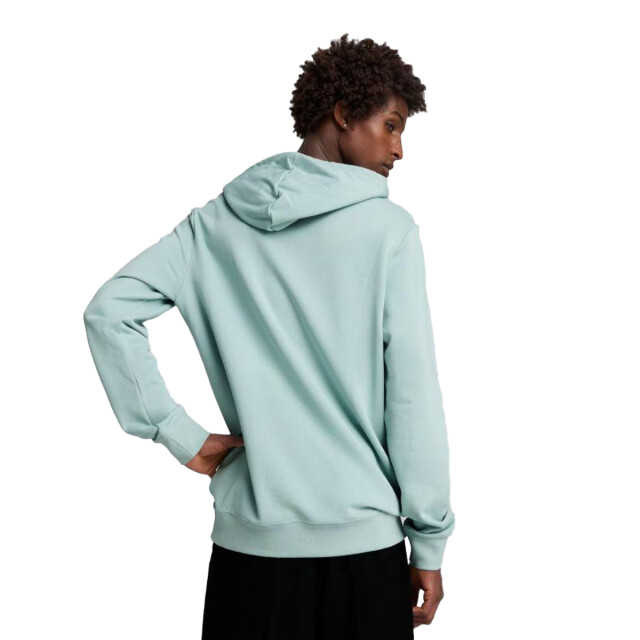 Puma Heren ess 2 color small no 1 hoodie UTPP5054_green large