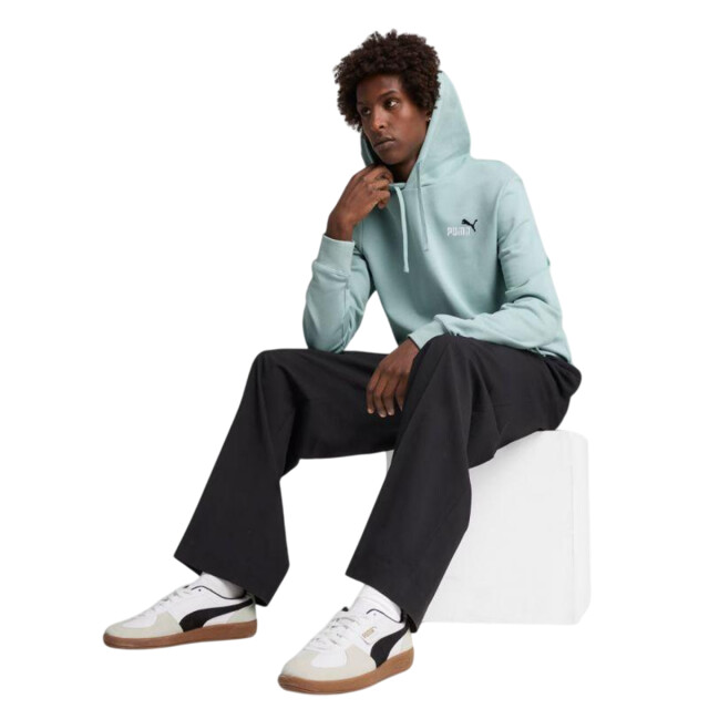 Puma Heren ess 2 color small no 1 hoodie UTPP5054_green large