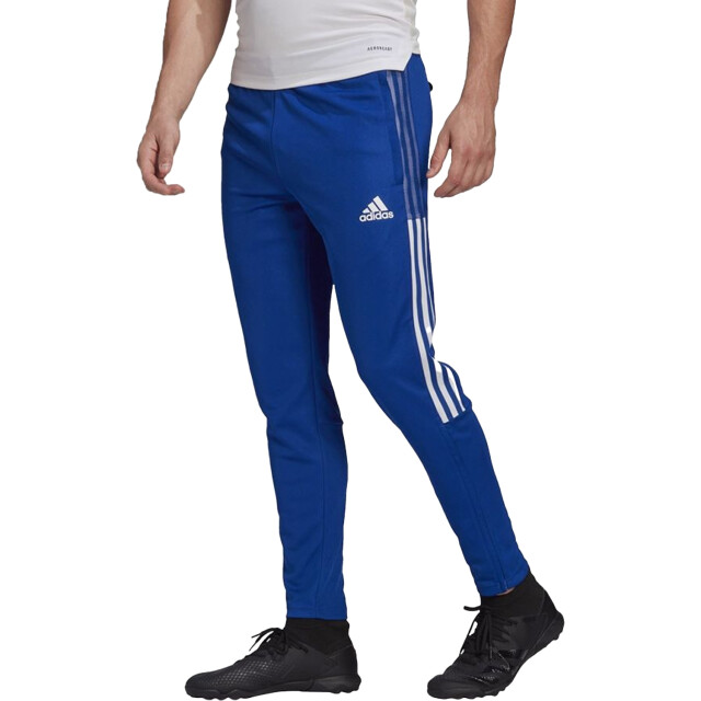 Adidas Heren tiro 21 trainingsbroek jogging UTPP1381_blue large