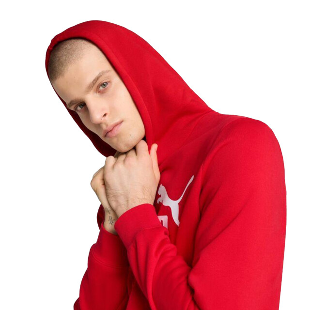 Puma Heren essentials no 1 logo hoodie UTPP3719_red large