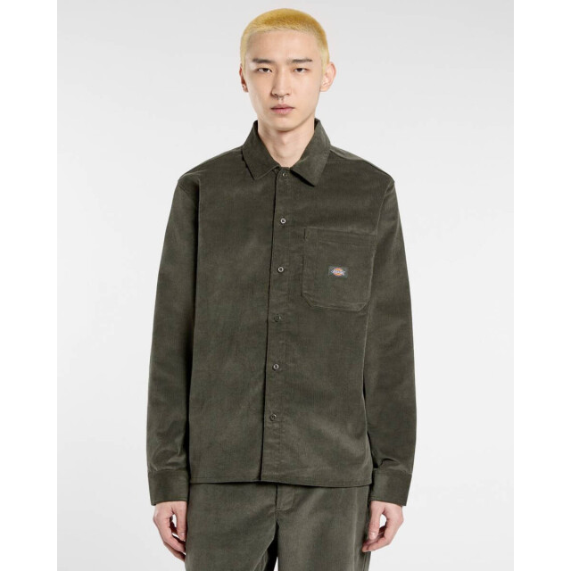 Dickies Overhemd lange mouw dk0a8652ogx1 Dickies Overhemd lange mouw DK0A8652OGX1 large