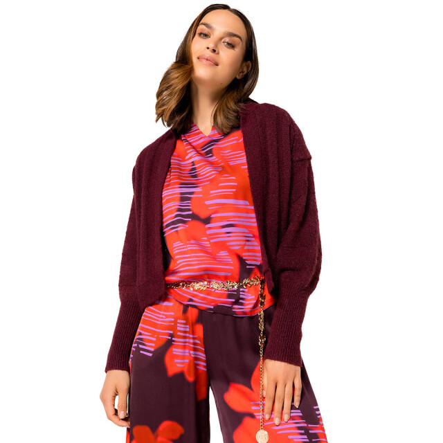Caroline Biss Vest 4248 Caroline Biss Vest 4248 large