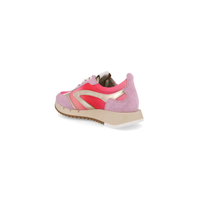 Piedi Nudi Vaya 01.14 Sneakers Roze Vaya 01.14 large