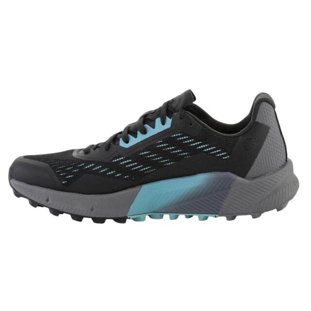 Adidas Dames terrex agravic flow 2 sportschoenen UTPP2781_black large Adidas Dames terrex agravic flow 2 sportschoenen UTPP2781_black large