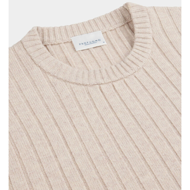 Profuomo Pullover ppwj30020b/f5 189712 large