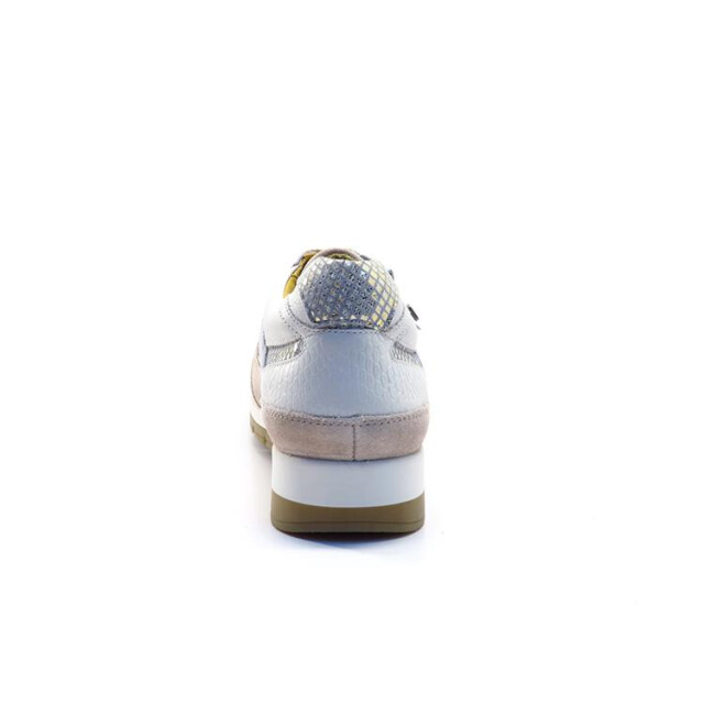 Helioform 281.008 281.008 large