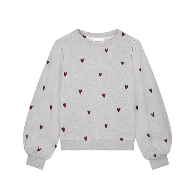 Fabienne Chapot Sweat cltswe11 dina Fabienne Chapot Sweat CLTSWE11 DINA large