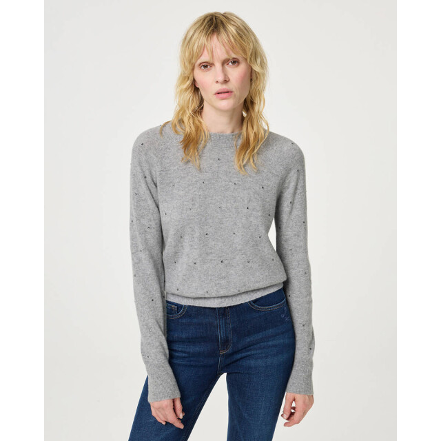 Fabienne Chapot Pullover cltpul12 lidi Fabienne Chapot Pullover CLTPUL12 LIDI large