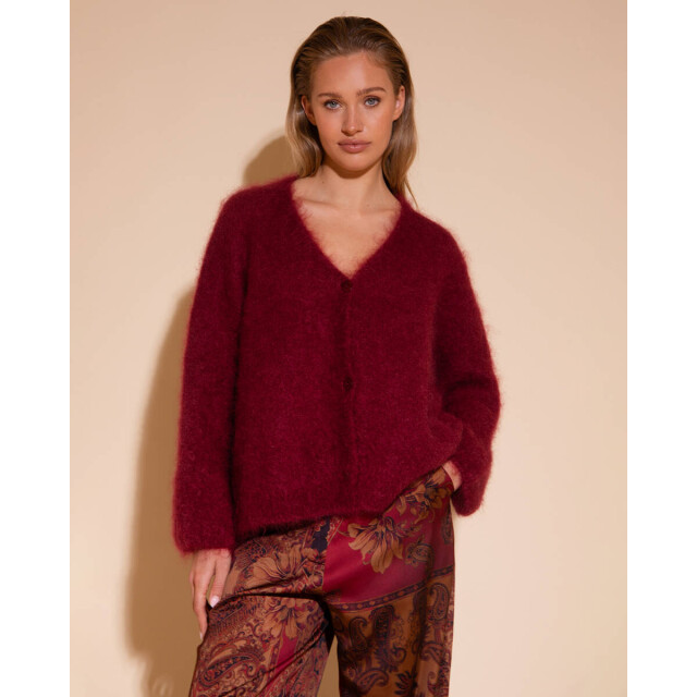 Amaya Amsterdam Vest 253-a26 roos Amaya Amsterdam Vest 253-A26 Roos large