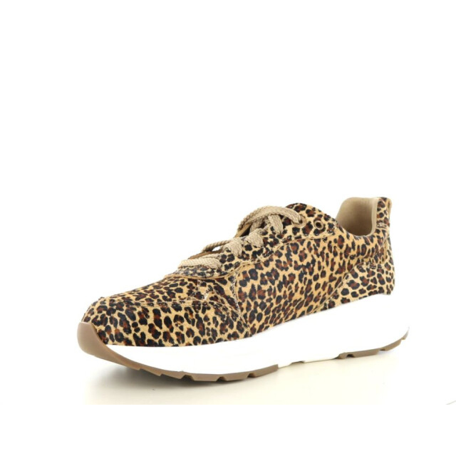 Xsensible 237.39.426 Sneakers Bruin 237.39.426 large