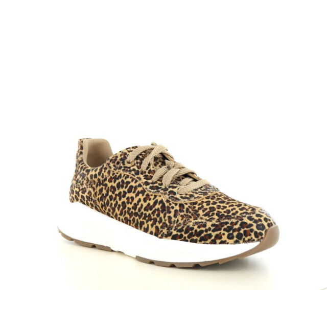 Xsensible 237.39.426 Sneakers Bruin 237.39.426 large