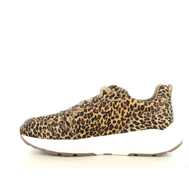 Xsensible 237.39.426 Sneakers Bruin 237.39.426 large