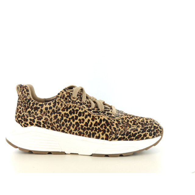 Xsensible 237.39.426 Sneakers Bruin 237.39.426 large