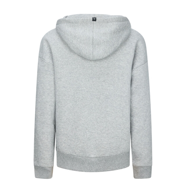 Retour Roy rjb-053-705  Roy RJB-053-705  large