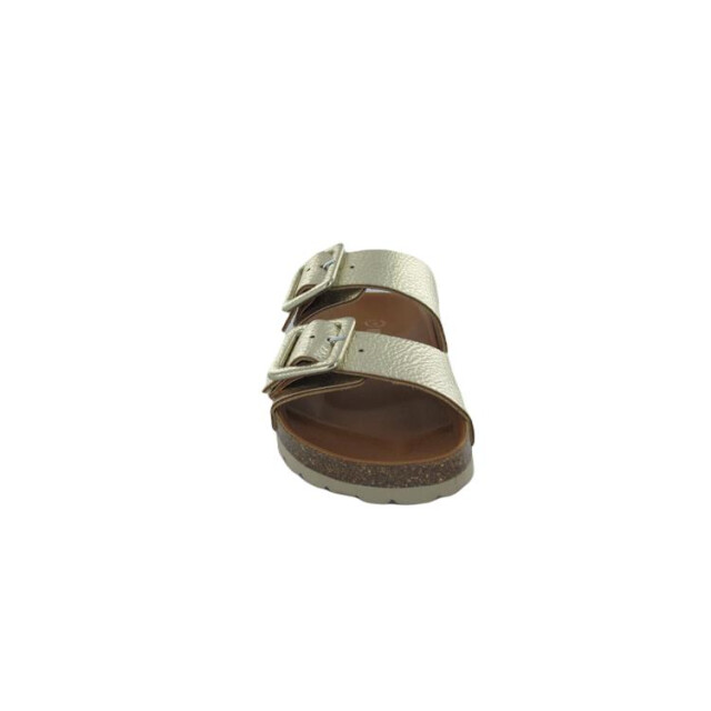 Verbenas Randell Randell large