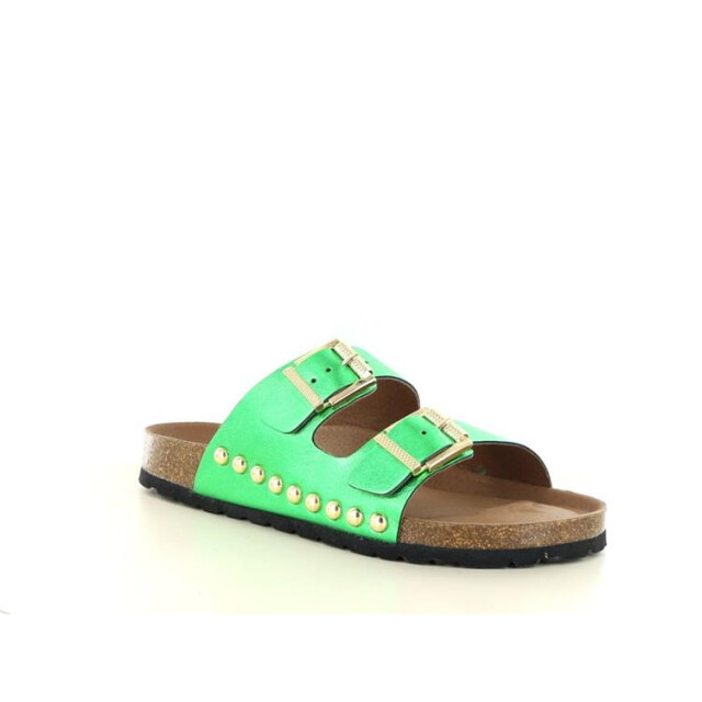 DWRS Label Malibu Malibu large