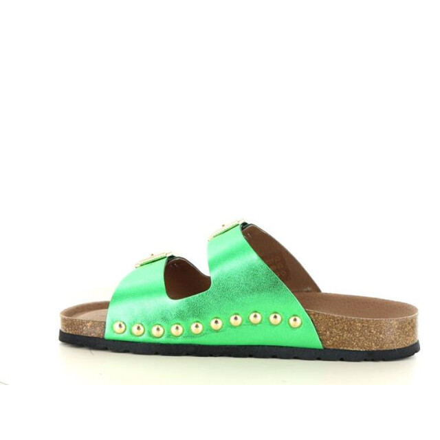 DWRS Label Malibu Malibu large