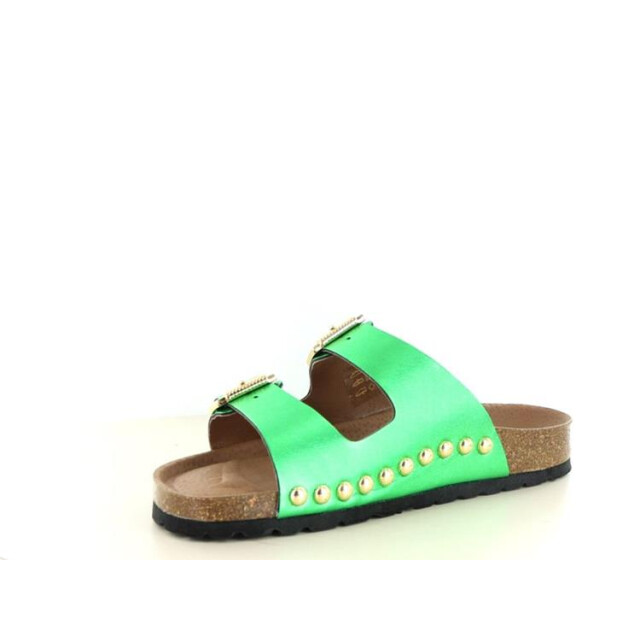 DWRS Label Malibu Malibu large