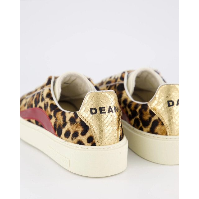 Dsquared2 Dames rider sneaker /leo SNW0323-2208448-M4191 large