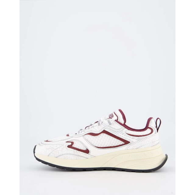 Dsquared2 Dames sprinter sneaker /bordo SNW0303-43108445-M4141 large