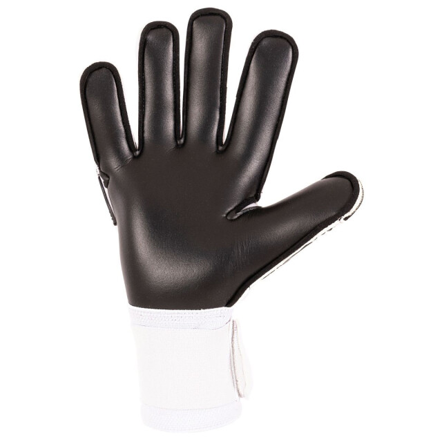 Stanno volare match iii goalkeeper keepershandschoen heren - 071403_999-8 large