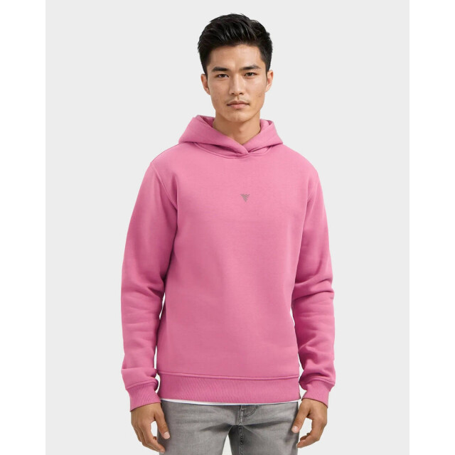 Pure Path Sweatshirt 25030302 Pure Path Hoodie 25030302 large