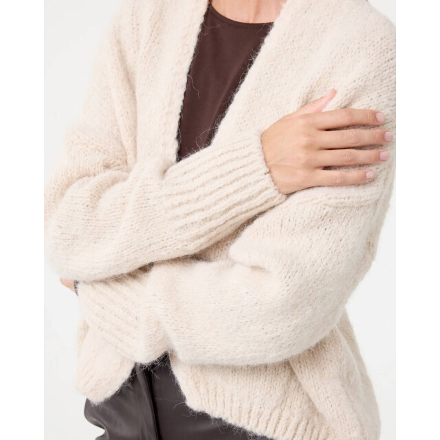 Knit-ted Vest 252p060 becky Knit-ted Vest 252P060 Becky large