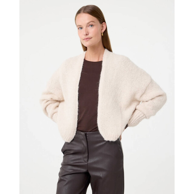 Knit-ted Vest 252p060 becky Knit-ted Vest 252P060 Becky large