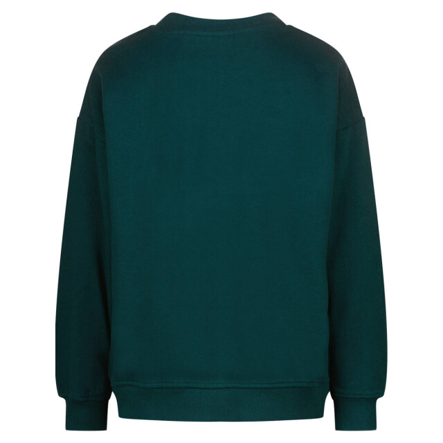 Vingino Sweat aw25kb340204 Vingino Sweat AW25KB340204 large