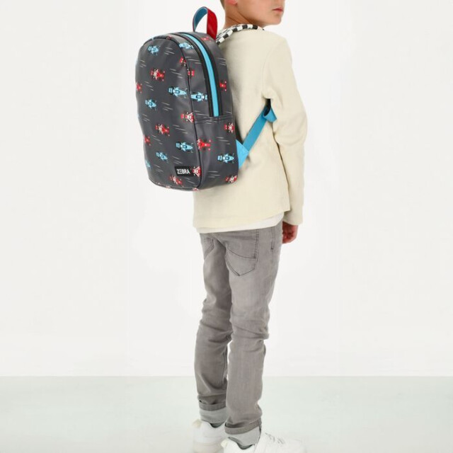 Zebra 22832  22832 Race Auto  large