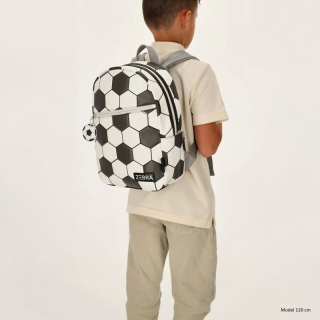 Zebra W01162  W01162  large