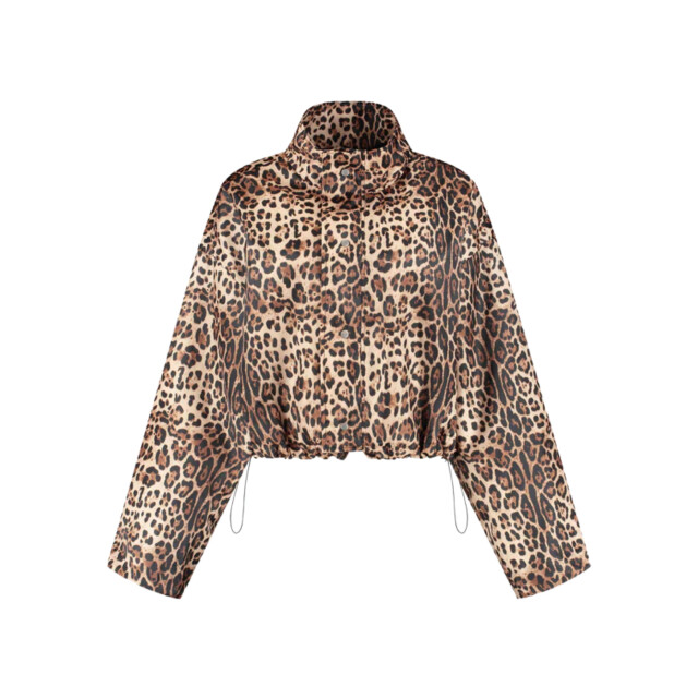 Studio Amaya 253-56 jackets feline Feline large