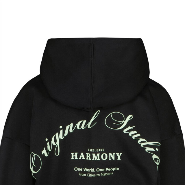 Cars Kids esmea sw hood black - 2209.80.0002 large