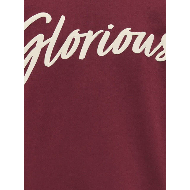 Only Koghella life ls o-neck loose print swt bordeaux 2209.47.0013 large