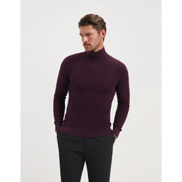 Saint Steve 240906 dominic 80012 plum melange 05711.770.0025 large