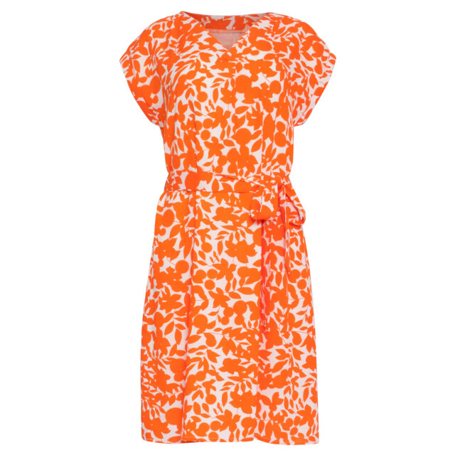 Smashed Lemon 24137 bladerprint jurk | 24137-010-250 large