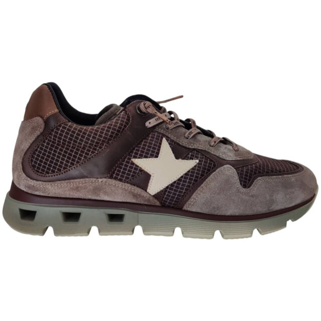 Cetti C 1398 sneaker C 1398 large