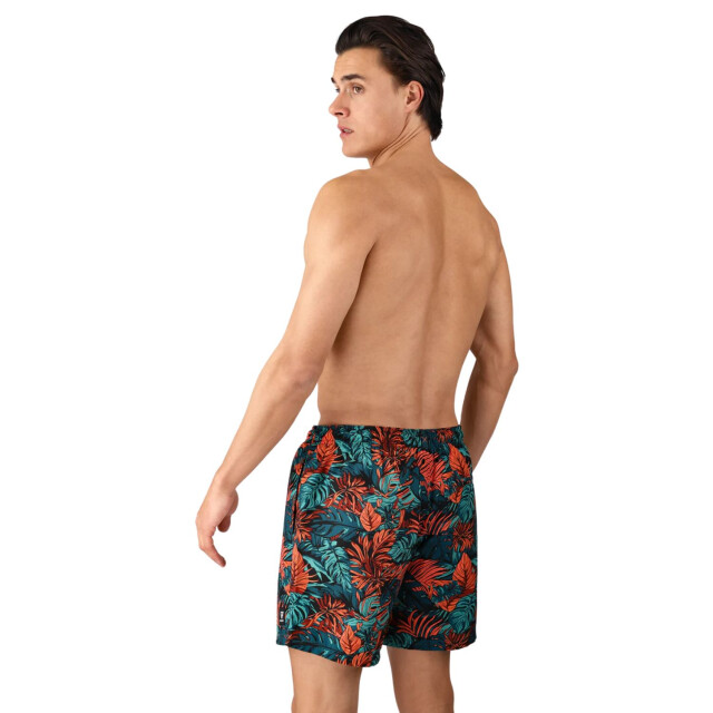 Brunotti Zwemshort heren 2511310037 large