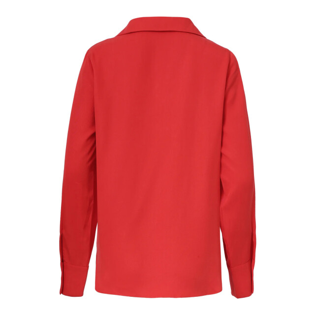 Smashed Lemon Doorknoopshirt met v hals & kraag | 8720331380252 large