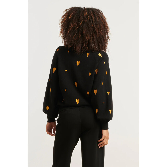 Smashed Lemon Haartjes knit top zwart met goud | 8720331371953 large