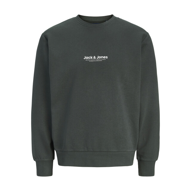 Jack & Jones Vesterbro sweat crew neck 12266164-FOR-XXL large