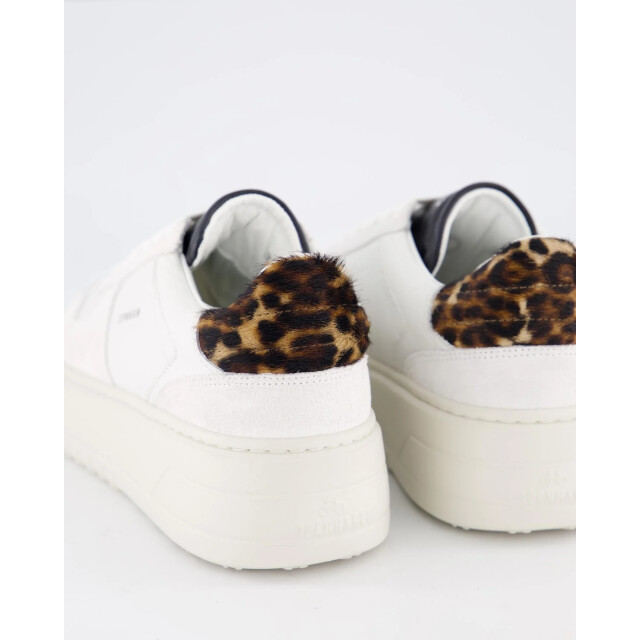 Copenhagen Dames cph75 sneaker white/leopard CPH75-White/leo large