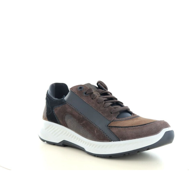 Xsensible 131.31.116 Sneakers Bruin 131.31.116 large