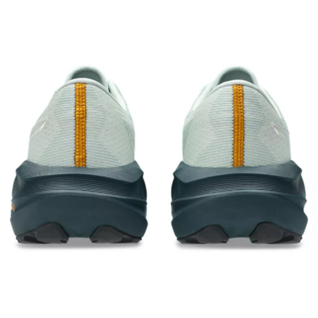 Asics Hardloopschoenen heren 1011C138 large