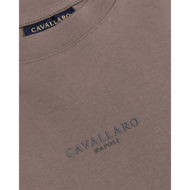 Cavallaro T-shirt korte mouw 117255006 luciano Cavallaro T-shirt korte mouw 117255006 LUCIANO large