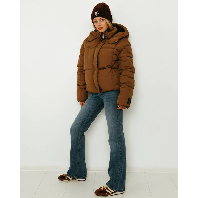 Frankie & Liberty Jack fl25802 Frankie & Liberty Jack FL25802 large