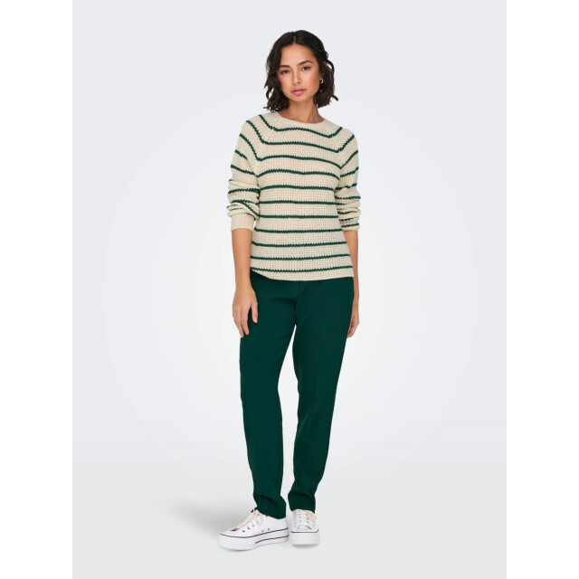 Jacqueline de Yong Ellen l/s oneck raglan pullover knt 15312077 large Jacqueline de Yong Ellen l/s oneck raglan pullover knt 15312077 large